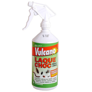 laque anti blattes