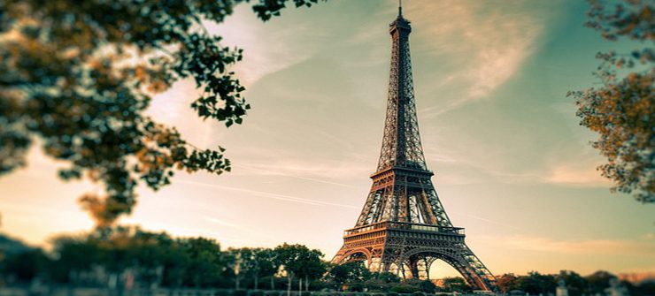 dératiseur paris